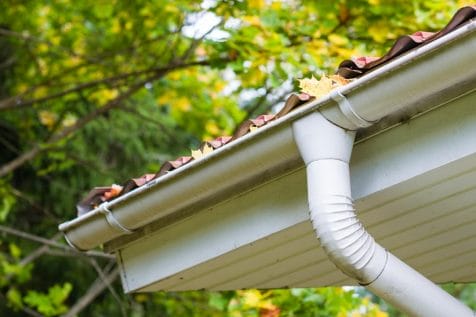 Clogged Gutters Or Downspouts